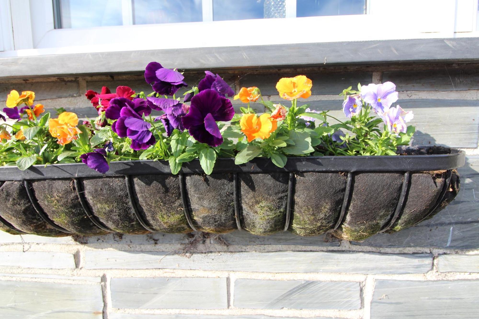 Melorne Farm Guest House Camelford Esterno foto